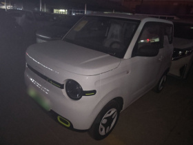 吉利银河 熊猫 2025款 210km 元气熊