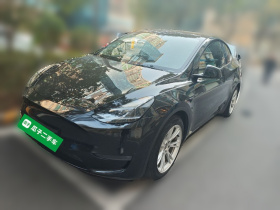 特斯拉 Model Y 2021款 标准续航后驱版