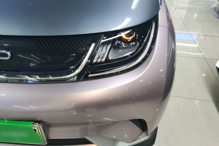 比亚迪 海豚 2021款 401km 骑士版局部细节36