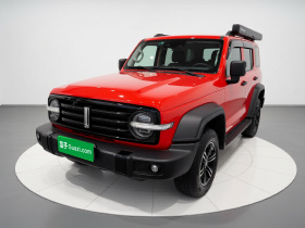 坦克300 2021款 越野版 2.0T 征服者