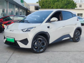 比亚迪 海鸥 2025款 智驾版 305km 自由版