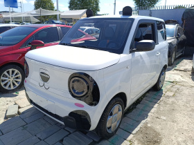 吉利银河 2023款 熊猫mini 200km 耐力熊