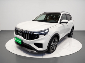 起亚 智跑 2021款 Ace 2.0L 精彩版