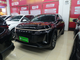 星途瑶光 2023款 400T 两驱舒享版