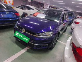 大众 高尔夫 2018款  230TSI 自动豪华型