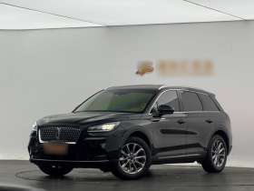 林肯 冒险家 2021款 2.0T 两驱尊享版