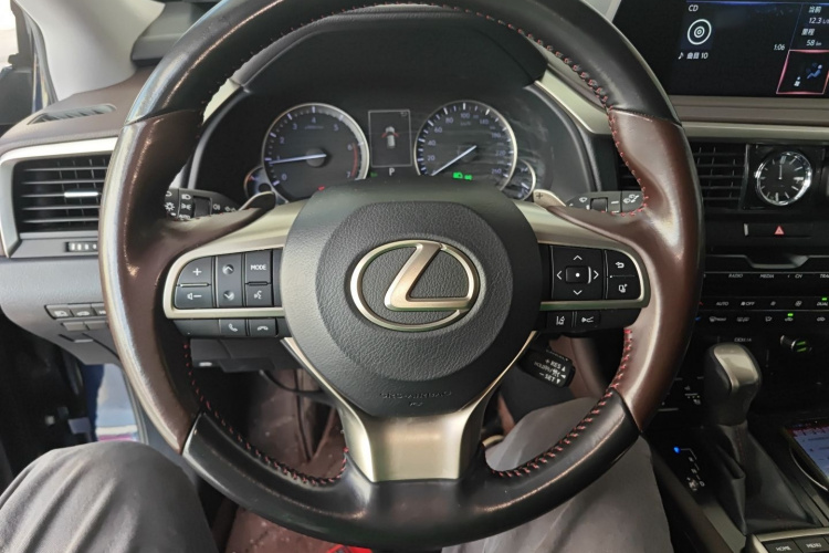 雷克萨斯RX 2020款 改款 300 四驱典雅版局部细节13