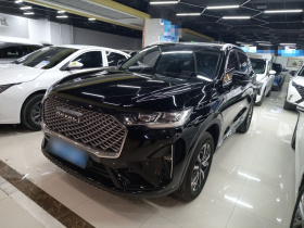 哈弗H6 2021款 第三代 1.5T 自动两驱Pro