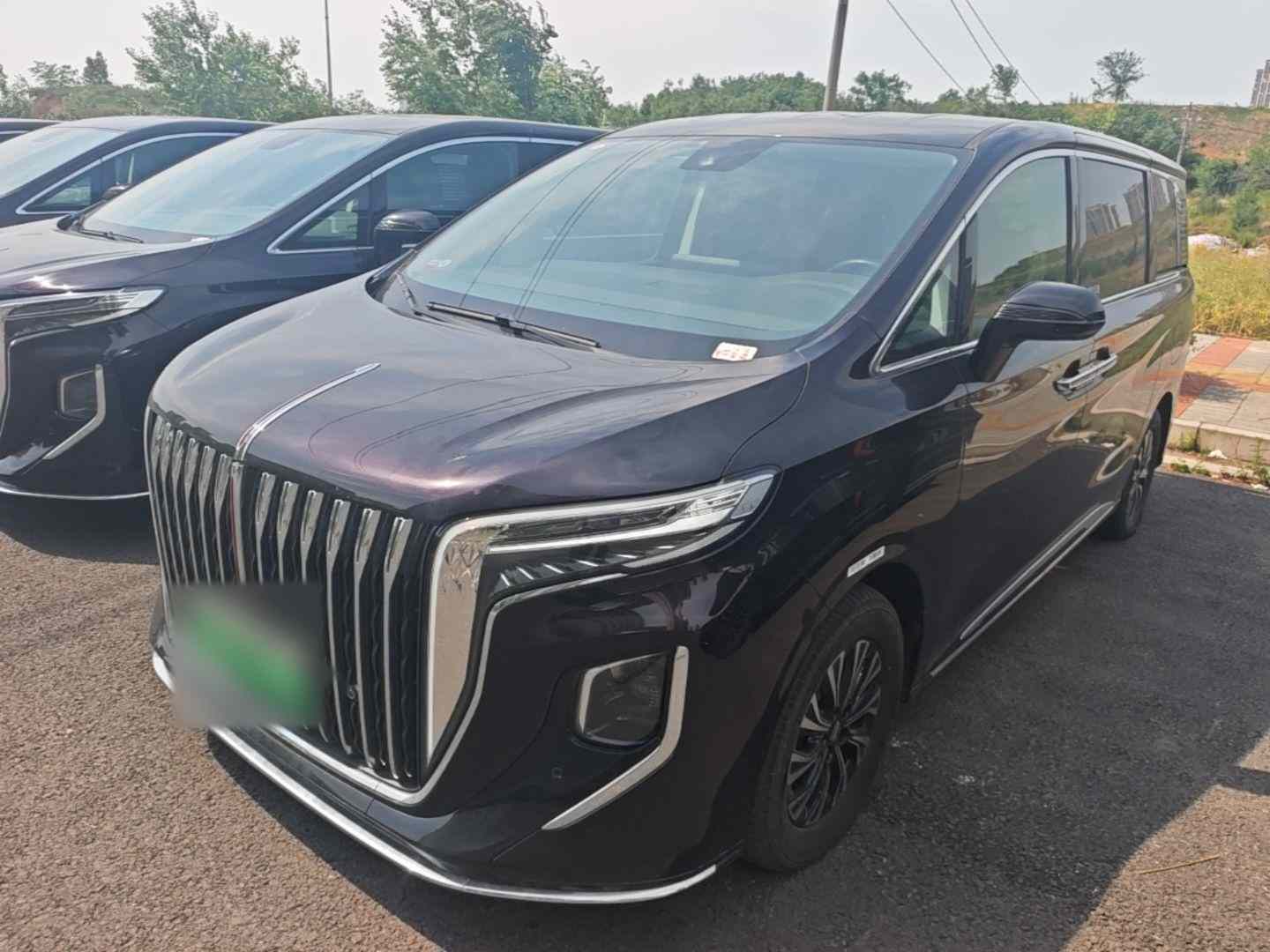红旗HQ9 PHEV 2024款 2.0T 四驱商务版(2)