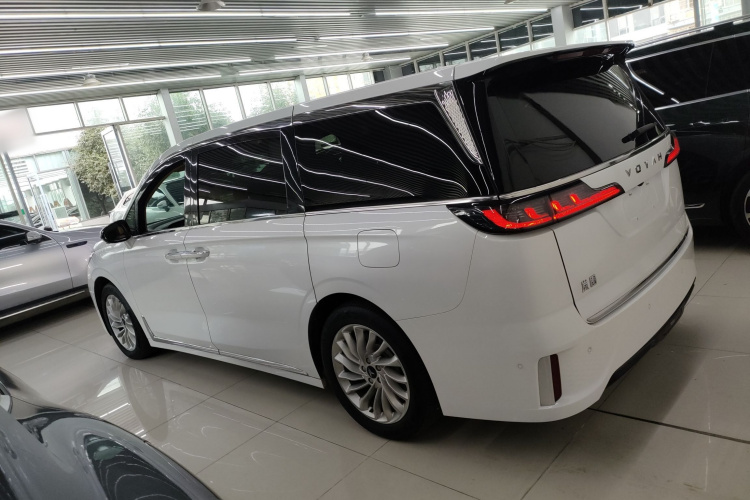 岚图汽车 岚图梦想家 2024款 PHEV 超长续航尊贵版车身外观6003