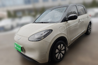 五菱汽车 五菱缤果 2023款 410km 灵犀尊享款