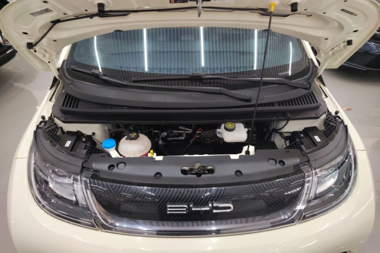 比亚迪 海豚 2021款 405km 时尚版局部细节24