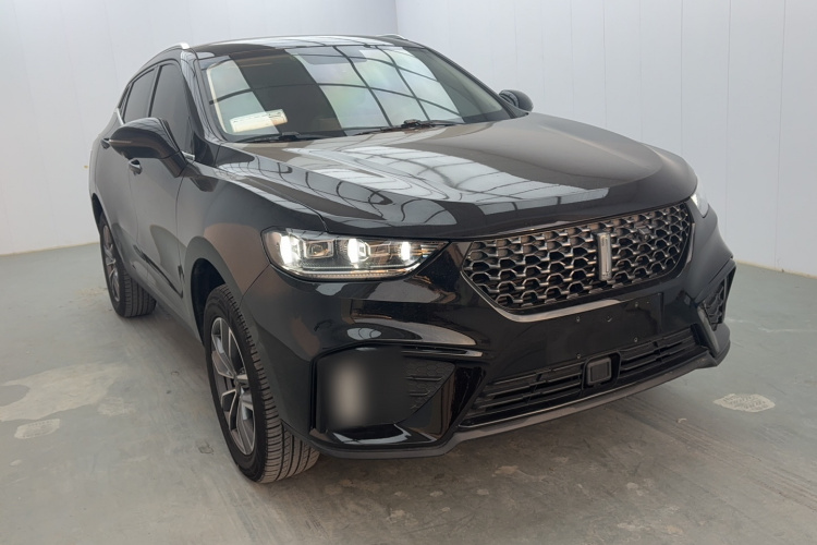 魏牌 VV5 2020款 1.5T 两驱智先锋车身外观6005