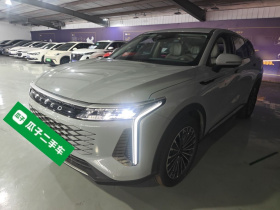 星途 瑶光C-DM 2024款 1.5T 长续航Pro