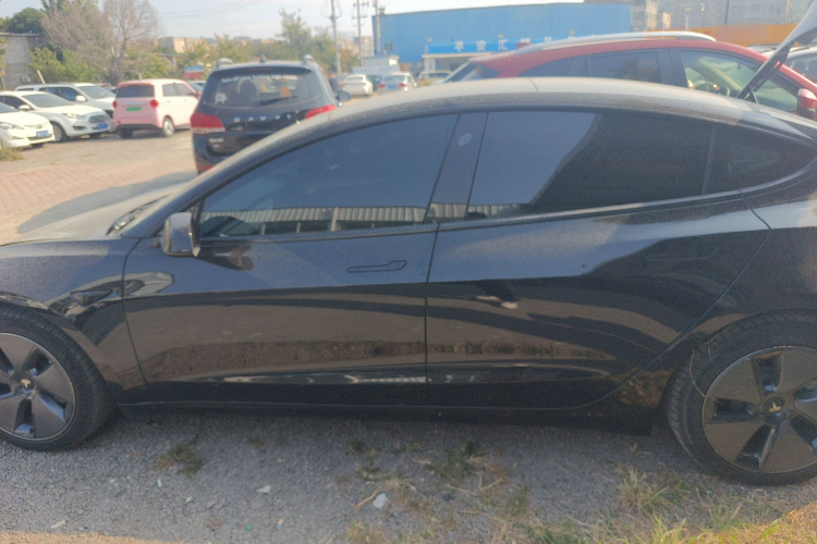 特斯拉 Model 3 2021款 标准续航后驱升级版 3D6车身外观6003