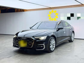 奥迪A6L 2024款 45 TFSI 臻选动感型