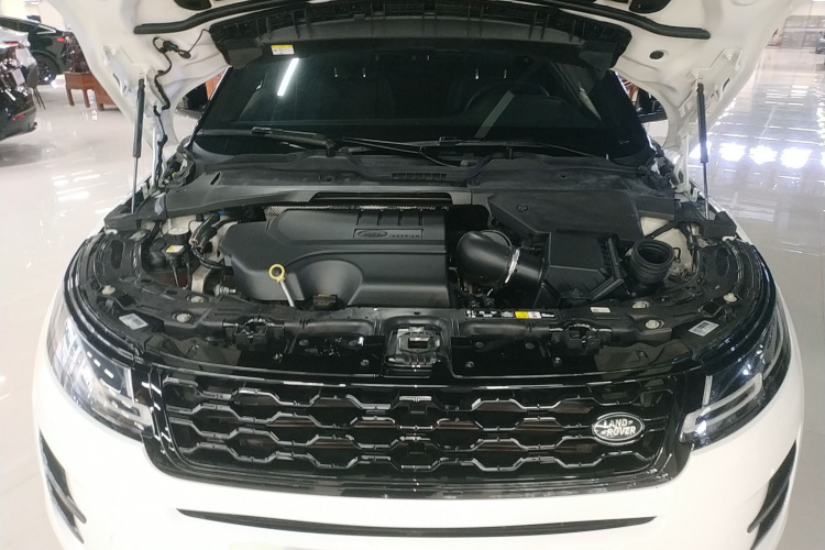 路虎 揽胜极光 2020款 249PS R-DYNAMIC S 曜黑运动科技版机舱底盘24