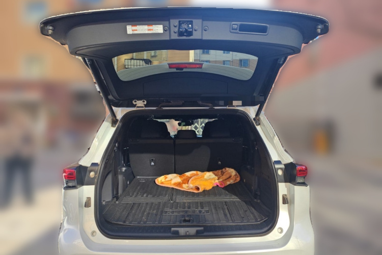 丰田 皇冠陆放 2021款 2.5L HEV四驱尊贵版中控内饰23