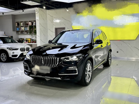 宝马X5(进口) 2019款 xDrive30i X设计套装