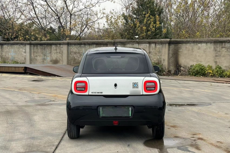 欧拉黑猫 2021款 351km 标准型车身外观6008