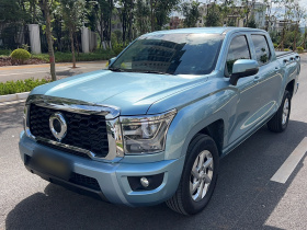 长城 金刚炮 2022款 2.0T手动柴油四驱精英型长箱GW4D20M