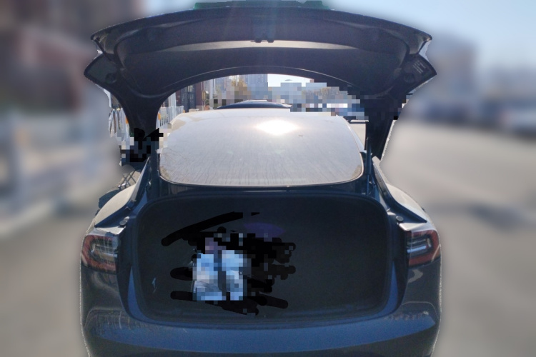 特斯拉 Model 3 2021款 标准续航后驱升级版局部细节23