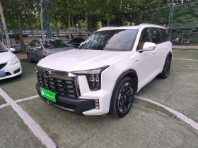 广汽传祺 传祺ES9 2024款 PHEV 143km 旅行者 Max