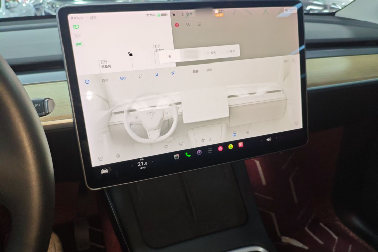 特斯拉 Model Y 2021款 标准续航后驱版局部细节16