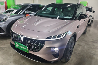 岚图汽车 岚图知音 2024款 四驱全球版