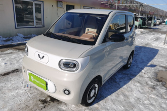 五菱汽车 宏光MINIEV 2024款 第三代 215km 青春版