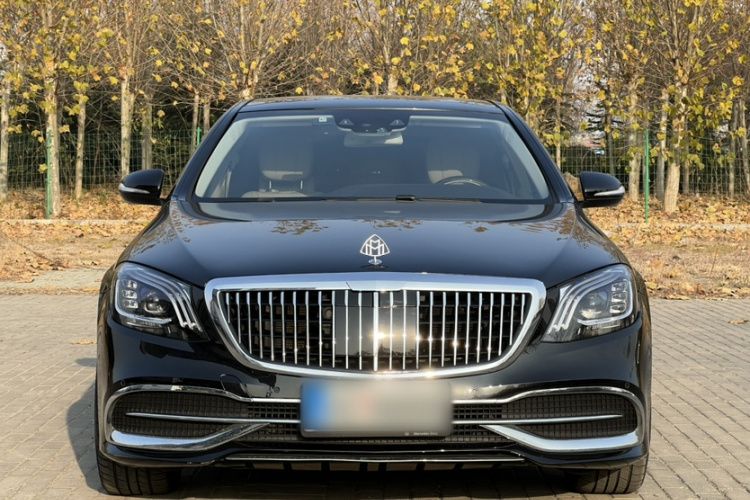 奔驰S级 2014款 S 400 L HYBRID车身外观6002