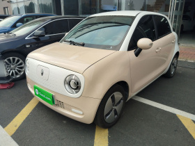 欧拉黑猫 2022款 301km 萌宠版 磷酸铁锂