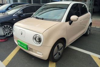 欧拉黑猫 2022款 301km 萌宠版 磷酸铁锂