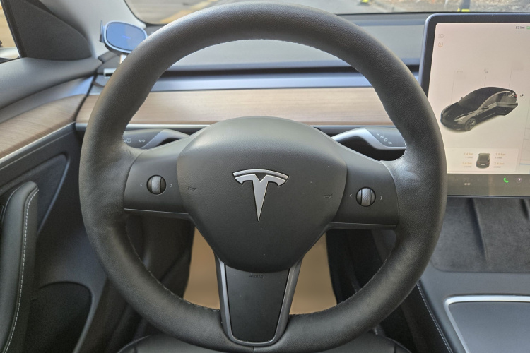 特斯拉 Model 3 2021款 标准续航后驱升级版局部细节13