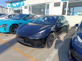 特斯拉 Model 3 2021款 标准续航后驱升级版 3D6