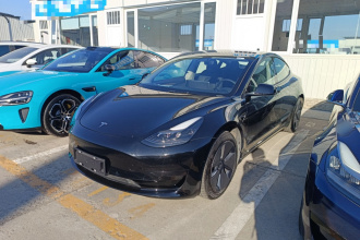 特斯拉 Model 3 2021款 标准续航后驱升级版 3D6