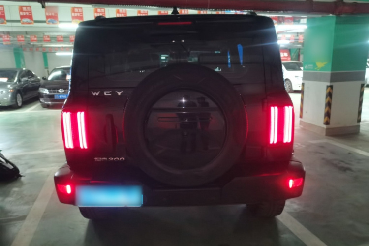 坦克300 2021款 越野版 2.0T 挑战者车身外观6004