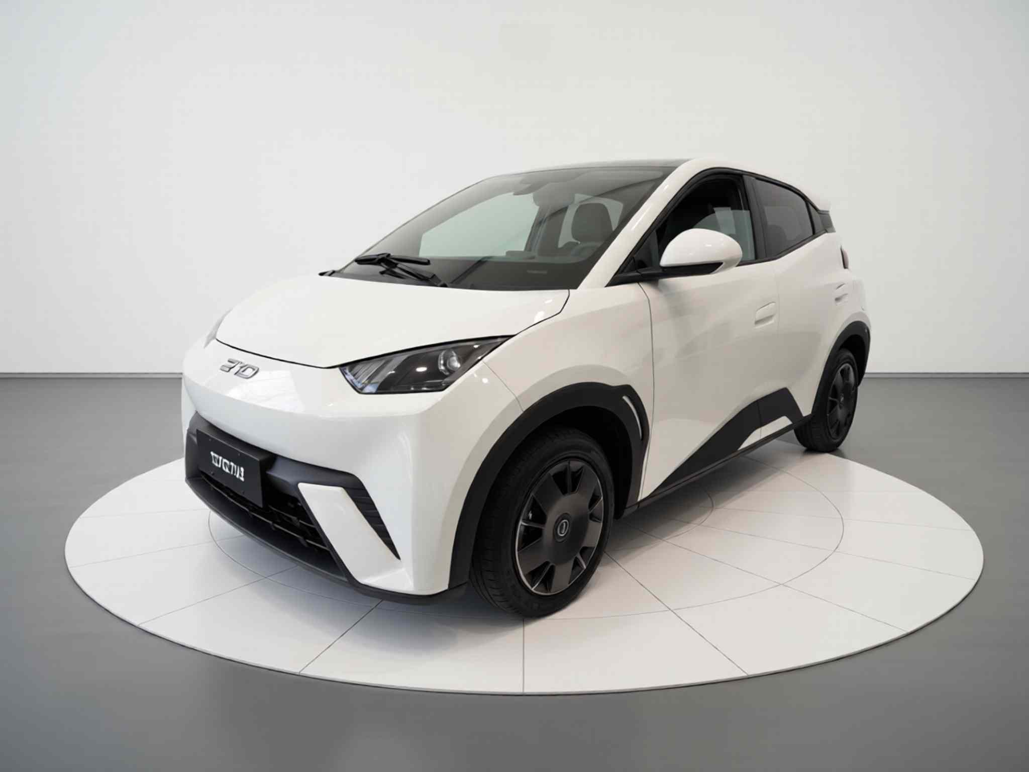 比亚迪 海鸥 2024款 荣耀版 305km 活力版(2)