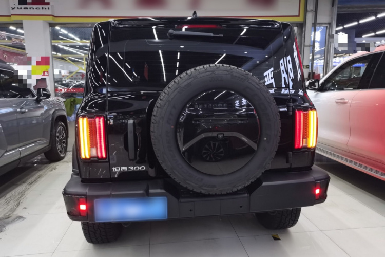 坦克300 2024款 2.0T 征服者车身外观6