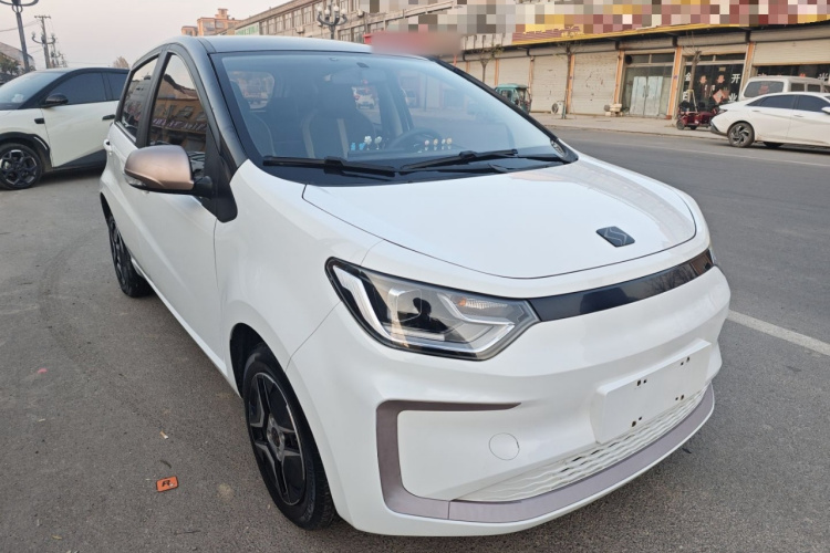 思皓 2022款 花仙子款 四叶草车身外观6002