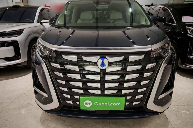 腾势D9 2024款 DM-i 980 四驱尊荣型车身外观6007