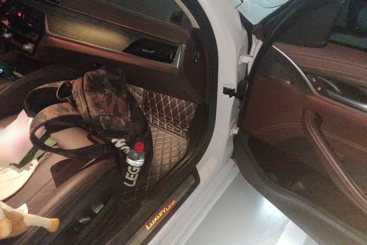 宝马5系 2020款 530Li 领先型 豪华套装局部细节9005