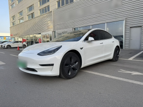 特斯拉 Model 3(进口) 2019款 长续航全轮驱动版