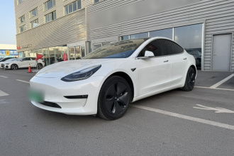 特斯拉 Model 3(进口) 2019款 长续航全轮驱动版