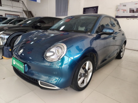 欧拉好猫 2021款 400km标准续航 维纳斯版 三元锂