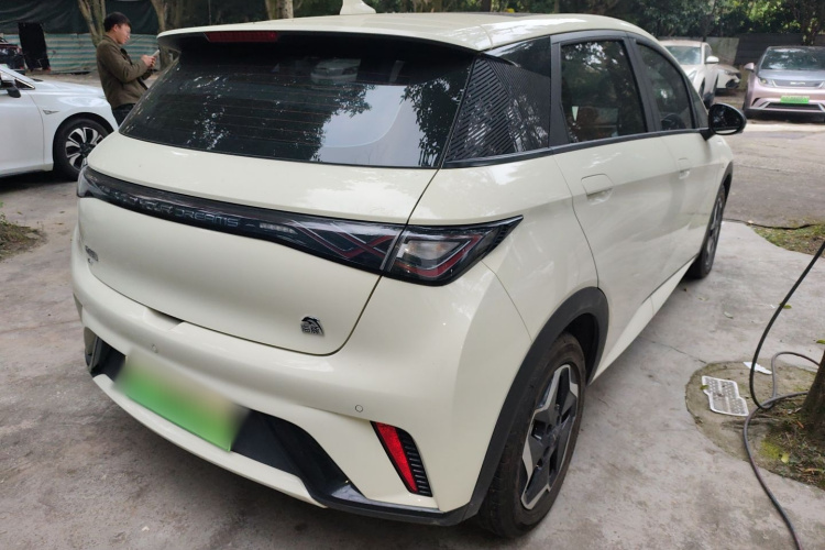 比亚迪 海豚 2021款 405km 时尚版车身外观6005