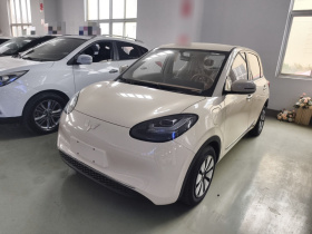 五菱汽车 五菱缤果 2025款 333km 灵犀互联款