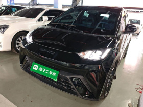 比亚迪 海鸥 2023款 自由版