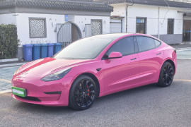 特斯拉 Model 3 2021款 Performance高性能全轮驱动版