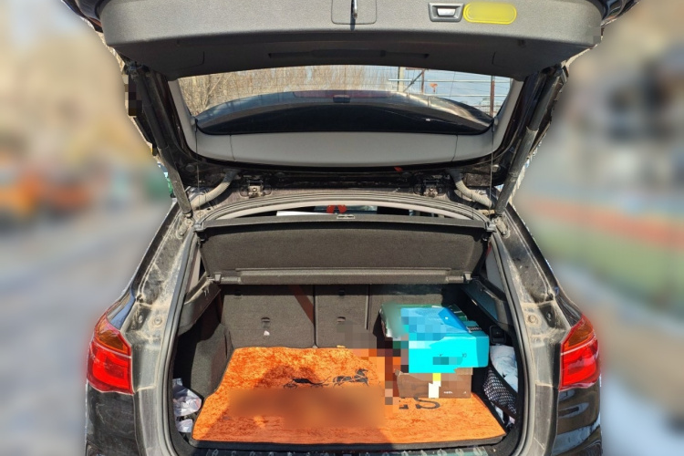 宝马X1 2018款 sDrive20Li 领先型局部细节23